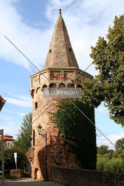 Photo 520-027-675