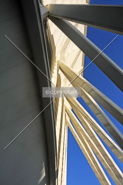Photo 520-137-790