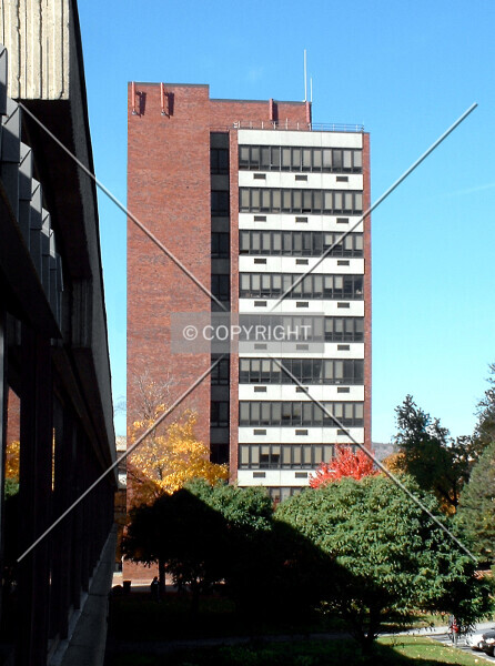 Photo 529-143-773