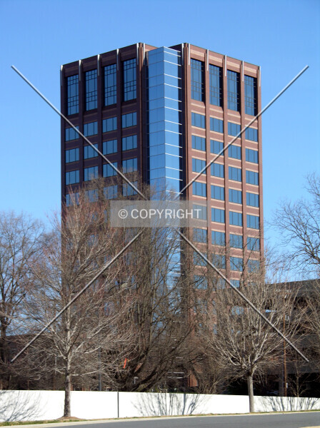 Photo 529-372-373