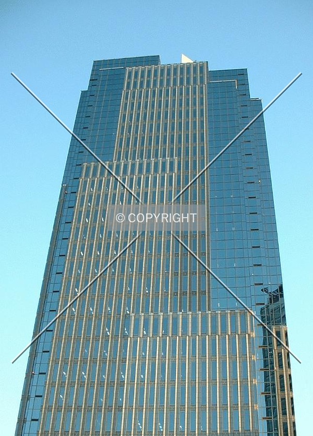 Straight ahead view