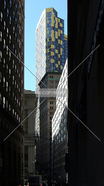 Photo 530-782-719