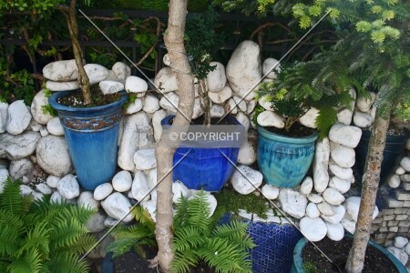 Garden detail