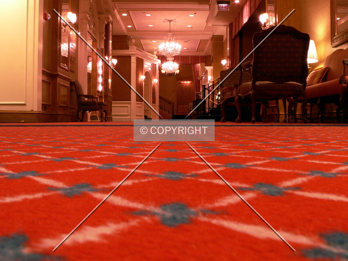 Carpet in one of the hallways