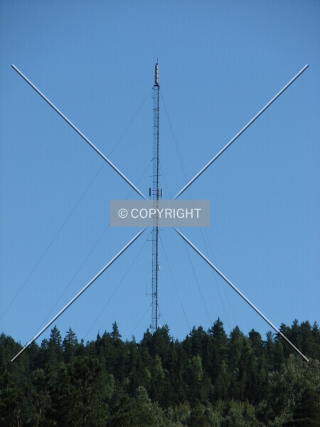 Photo 533-267-373