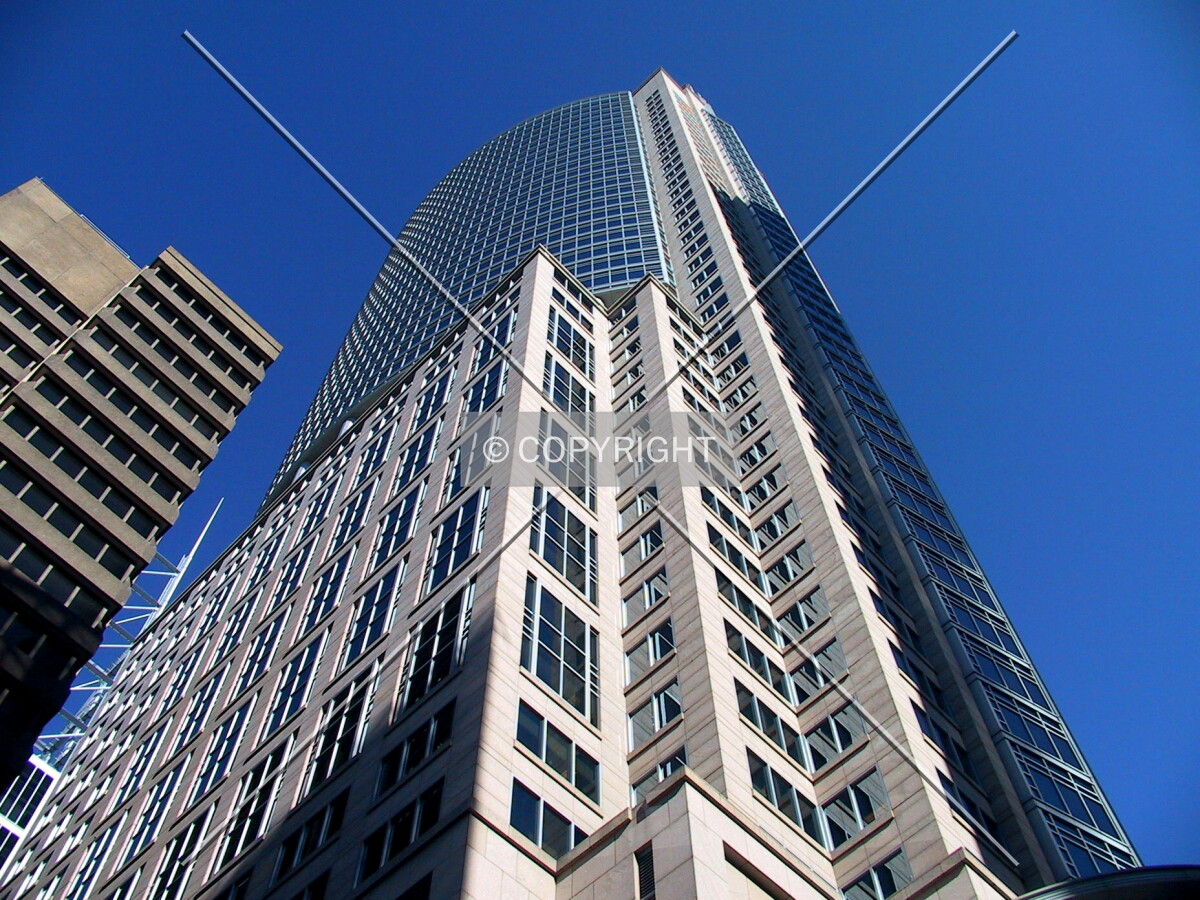 Looking up from Phillip Lane