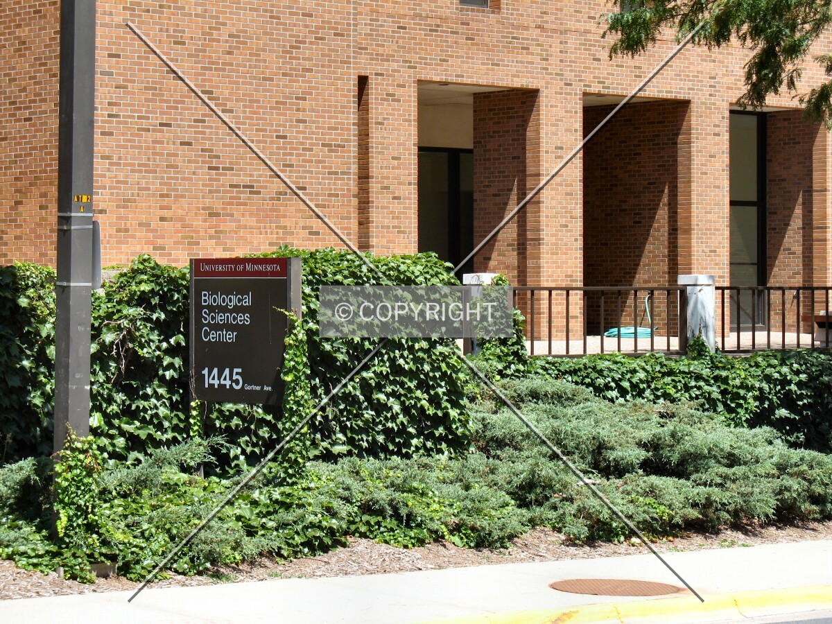 Entrance and building sign from across Buford Avenue