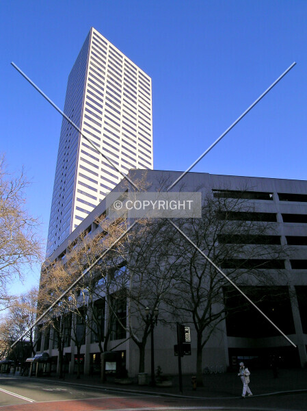 Photo 537-391-828
