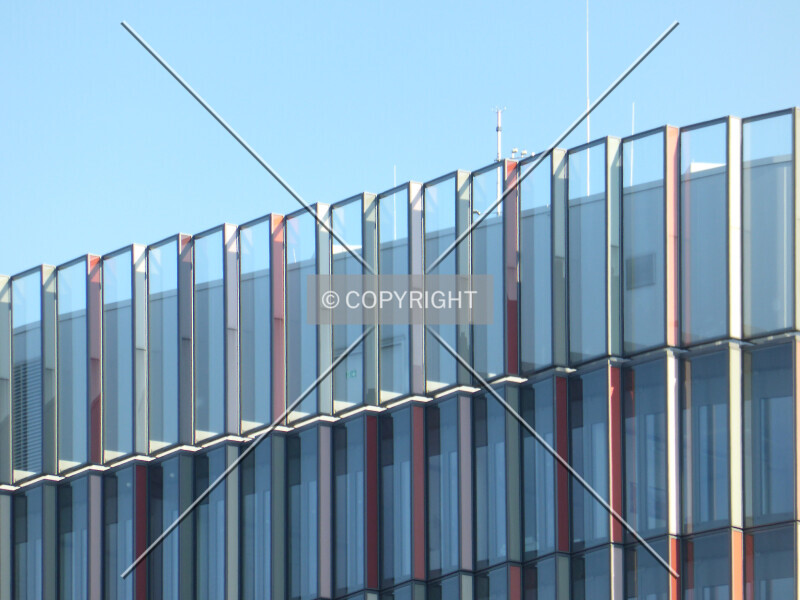 Photo 538-189-248