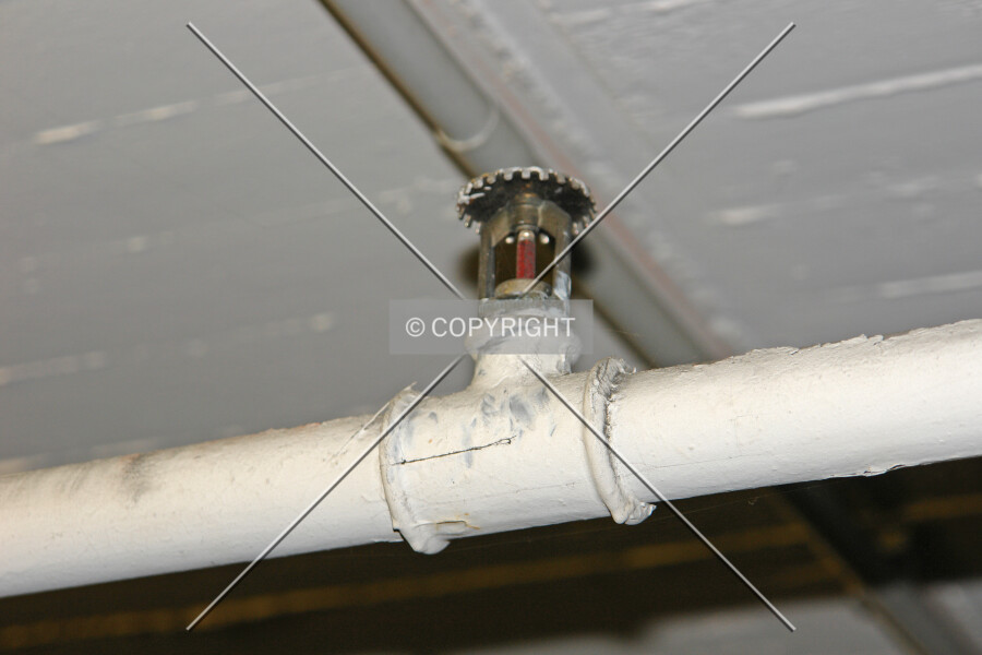 Photo 539-159-097