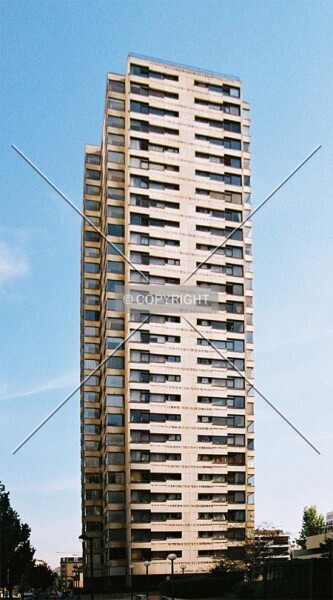 Photo 544-183-684