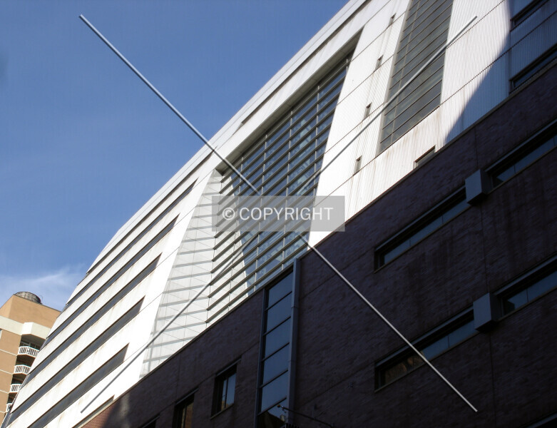 Photo 544-396-937