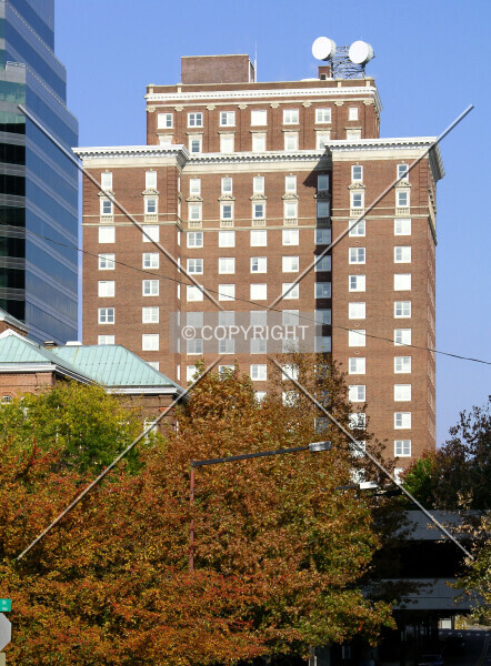 Photo 545-041-801