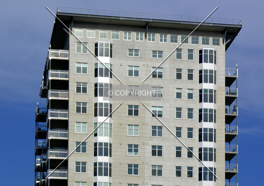 Photo 545-445-586