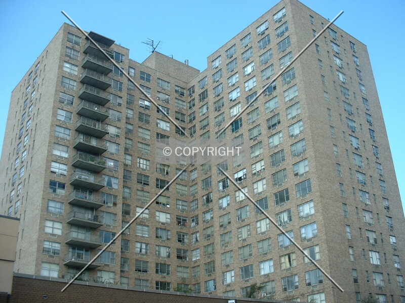 Photo 545-475-233