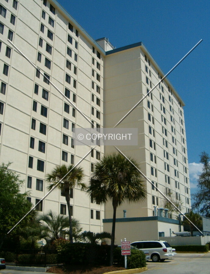 View from Government Street