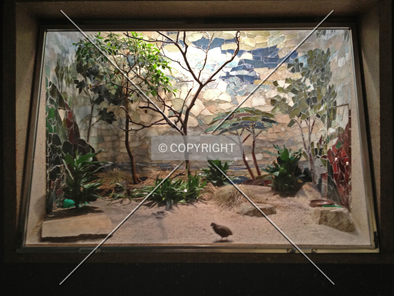 Photo 548-472-472
