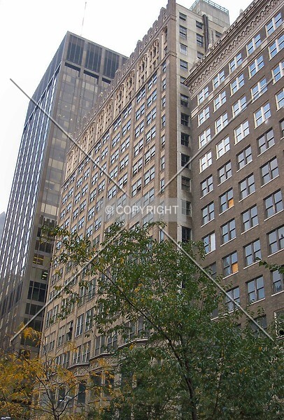 Photo 550-575-778