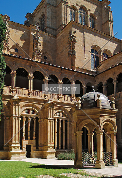 Photo 550-625-584