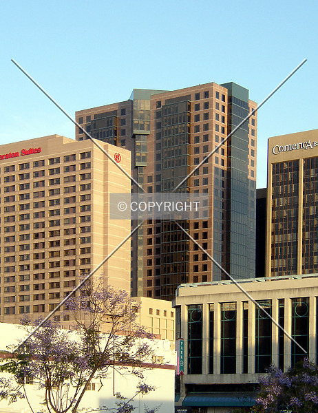 Photo 550-674-574