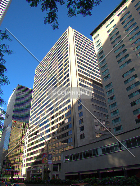 Photo 554-104-842