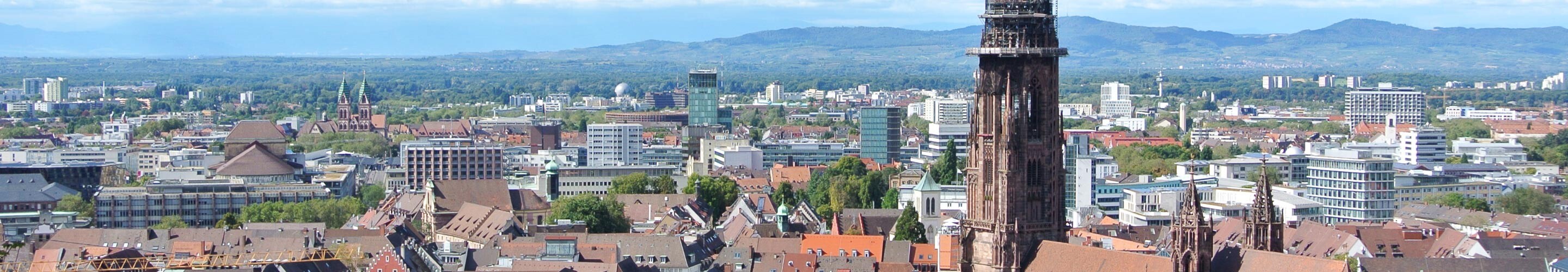 Panorama of Freiburg im Breisgau