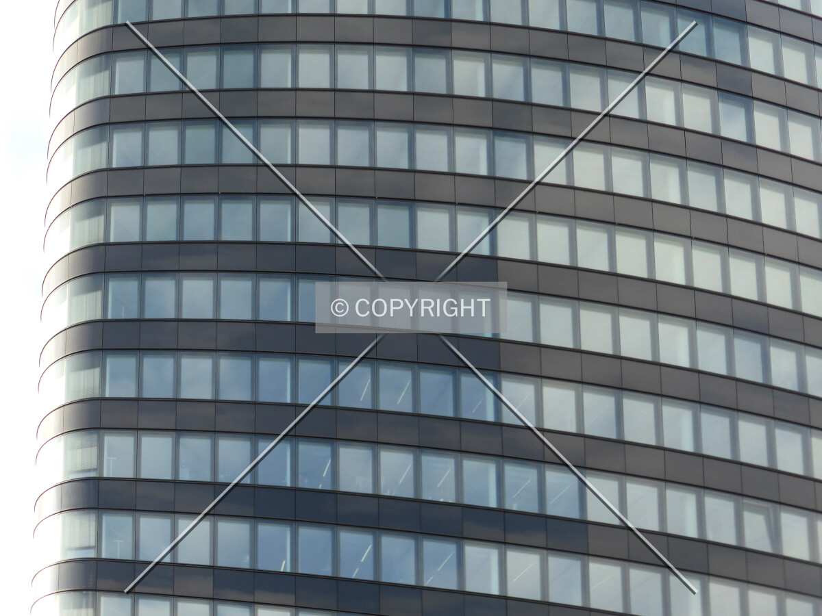 Photo 555-031-821