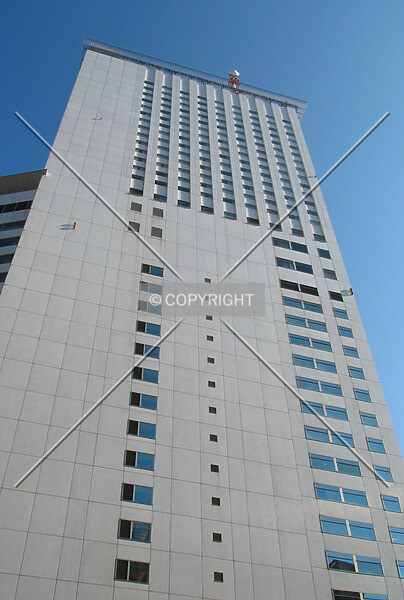 Photo 555-904-209