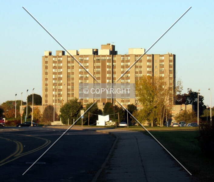 Photo 555-973-545