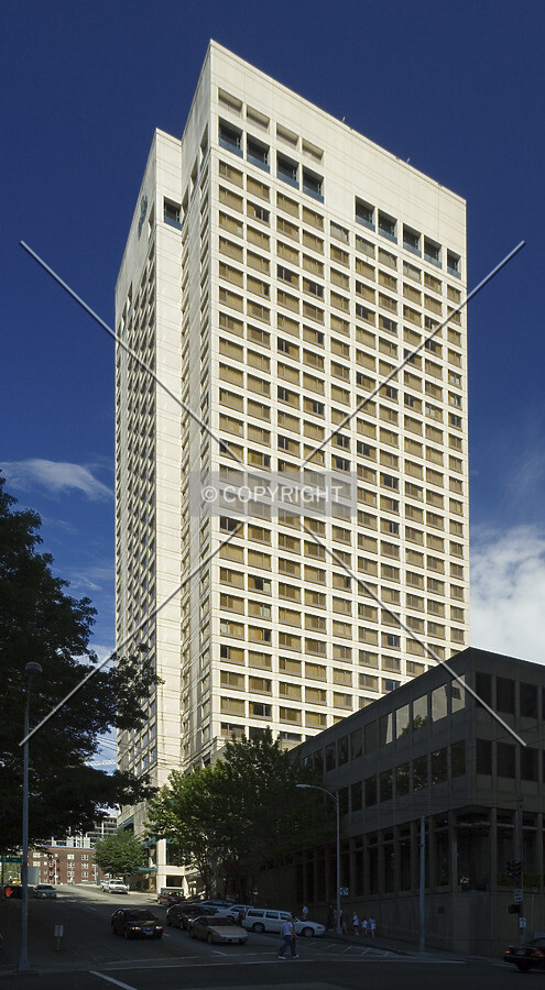 View from the west