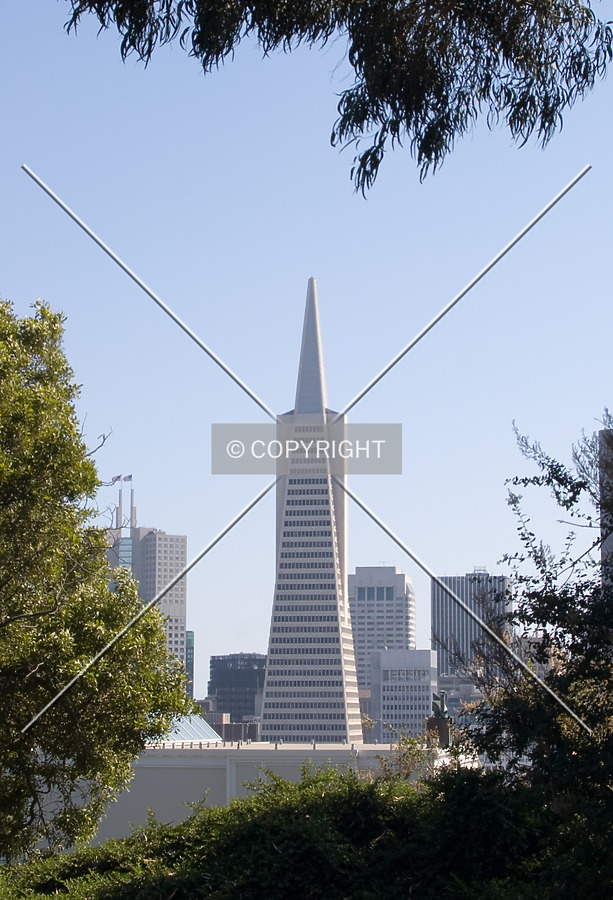 From Coit Tower Hill