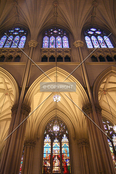 Photo 561-275-625