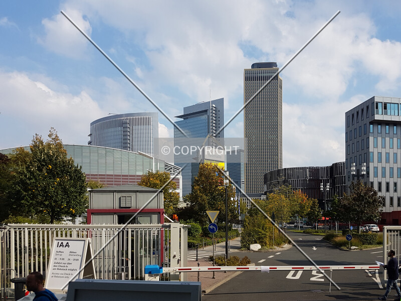 Photo 565-130-417