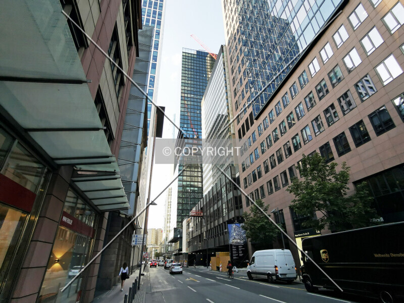 Photo 565-956-435