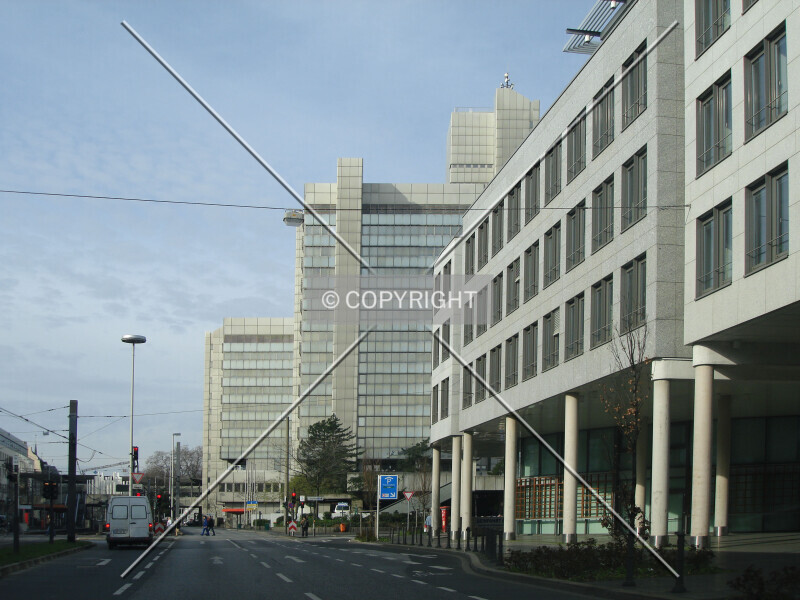 Photo 566-193-686
