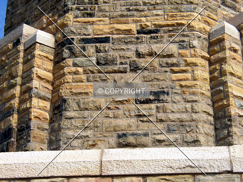 Photo 566-218-061