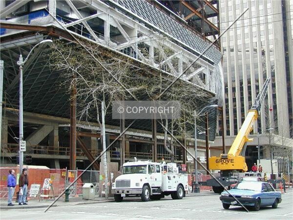Street level view