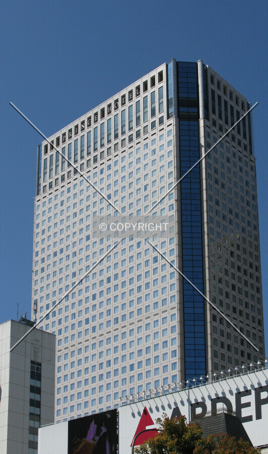 View from the northeast