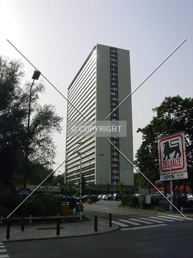 View from Avenue de l'Arbre Ballon