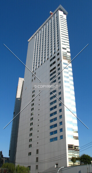 Photo 571-021-329