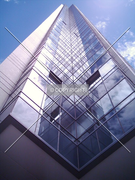 Photo 571-920-992