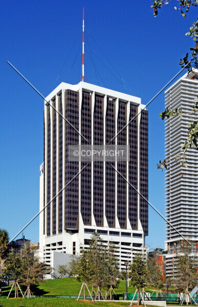 Photo 572-018-568