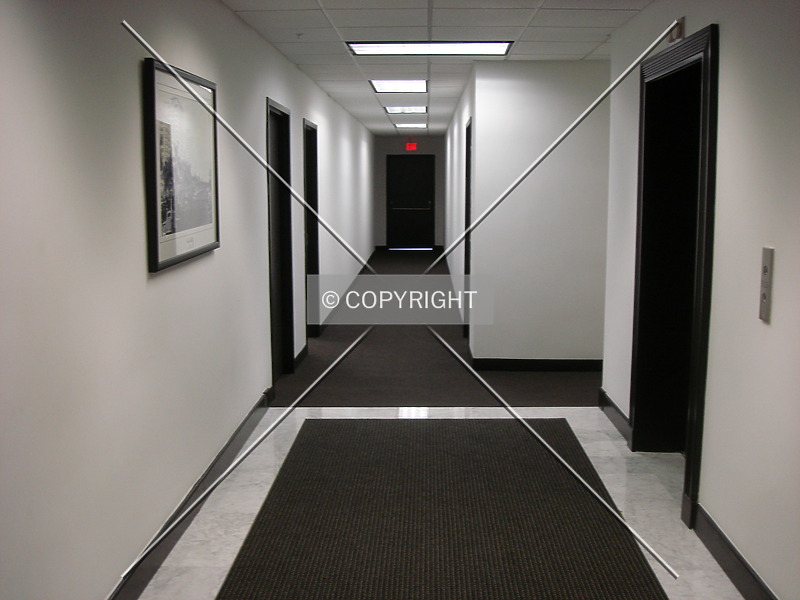 Photo 587-564-340