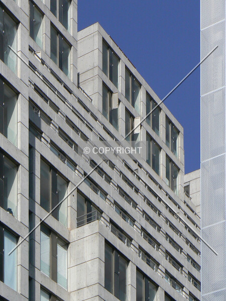 Photo 589-498-346
