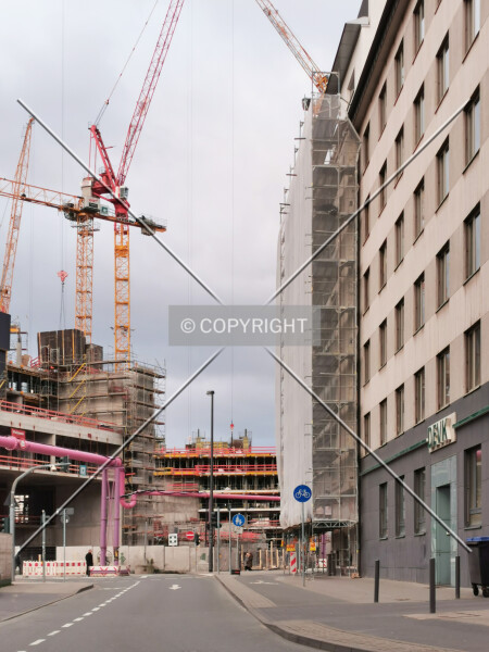 Photo 590-209-433