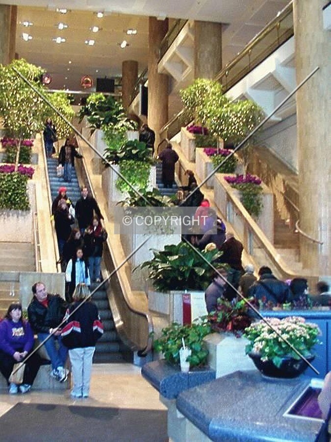 Front escalators leading to the mall