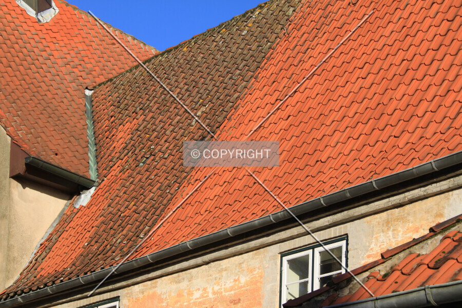 Photo 592-954-799