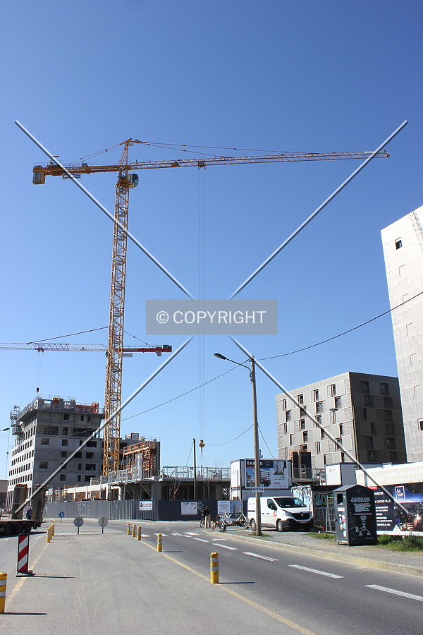 Photo 593-010-724