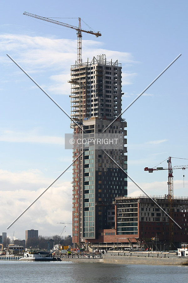 View from Rijnhaven