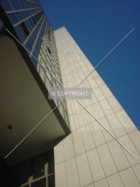 Photo 596-677-142